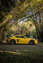 Porsche 718 Cayman S 2016 года (NA)